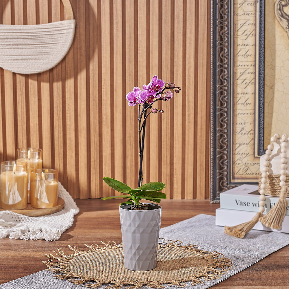 Modern Mini Pink Orchid Plant with Ceramic Planter – how the gift is presented
