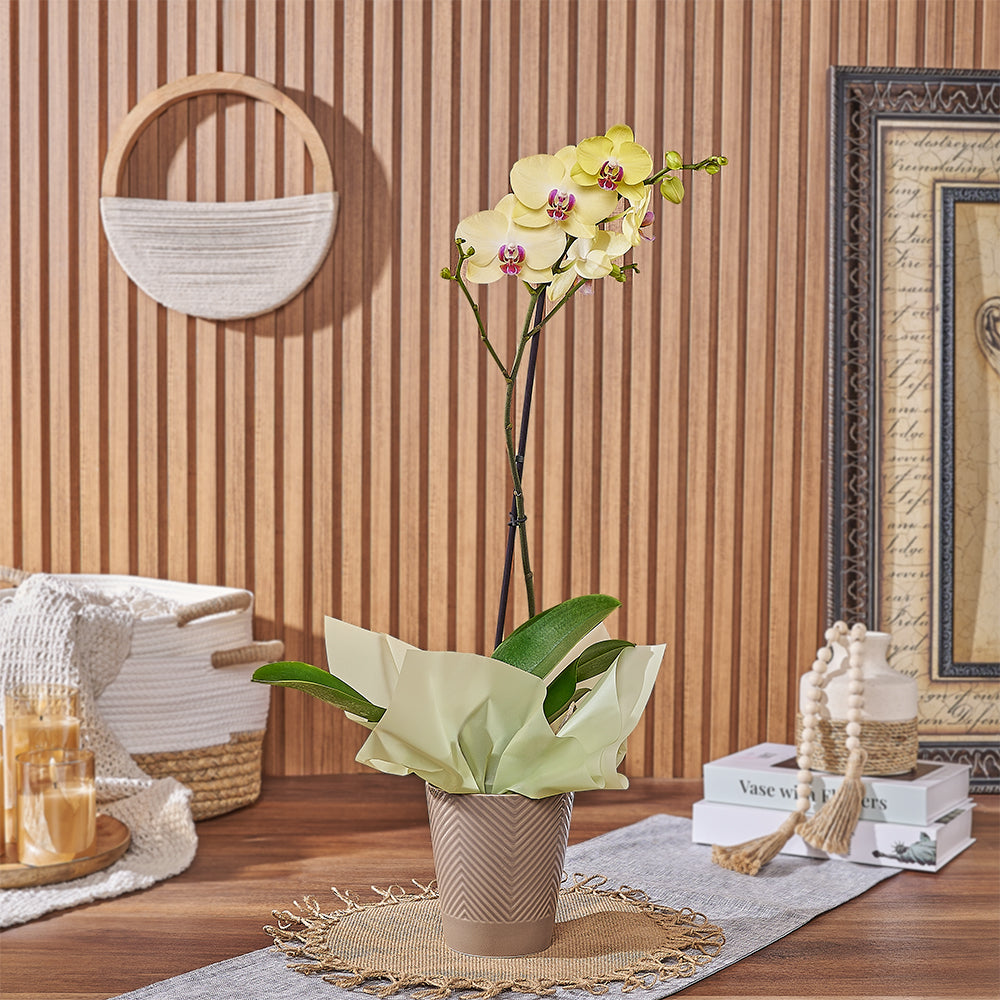 Ceramic Pot with Yellow Phalaenopsis Orchid – how the gift is presented