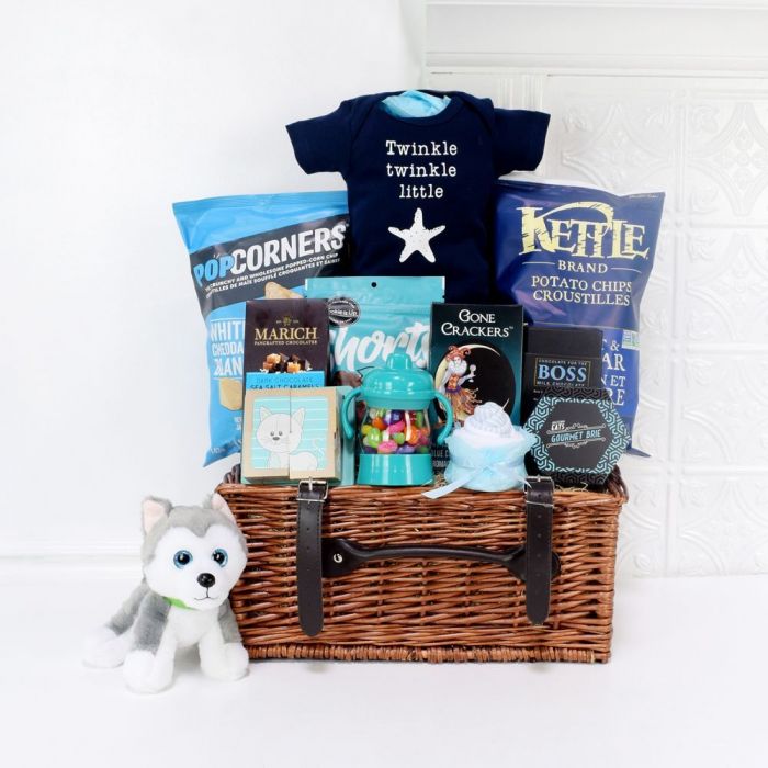 Little Gift Basket for Baby with Plush Huskie and Gourmet Snacks – how the gift is presented