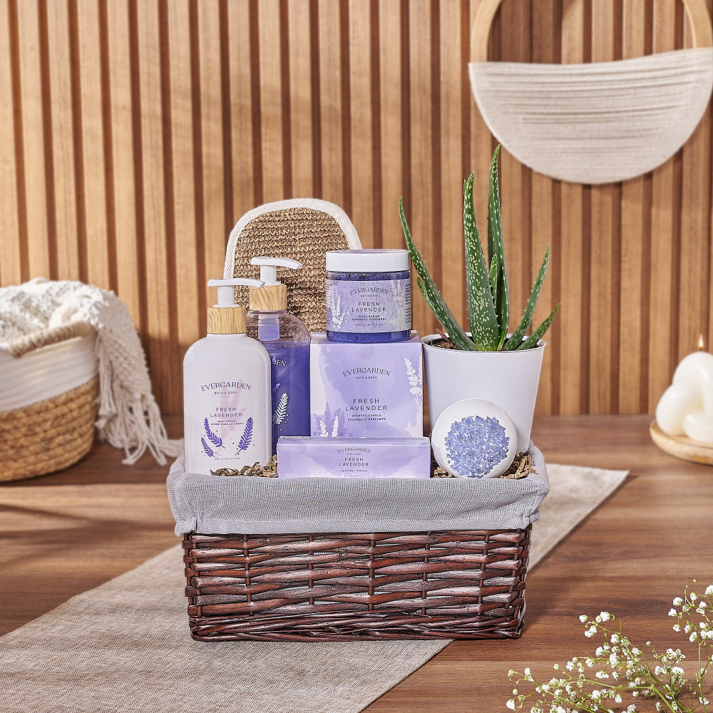 Natural Beauty Succulent &amp; Spa Gift Set – Spa gift baskets – New Hampshire delivery