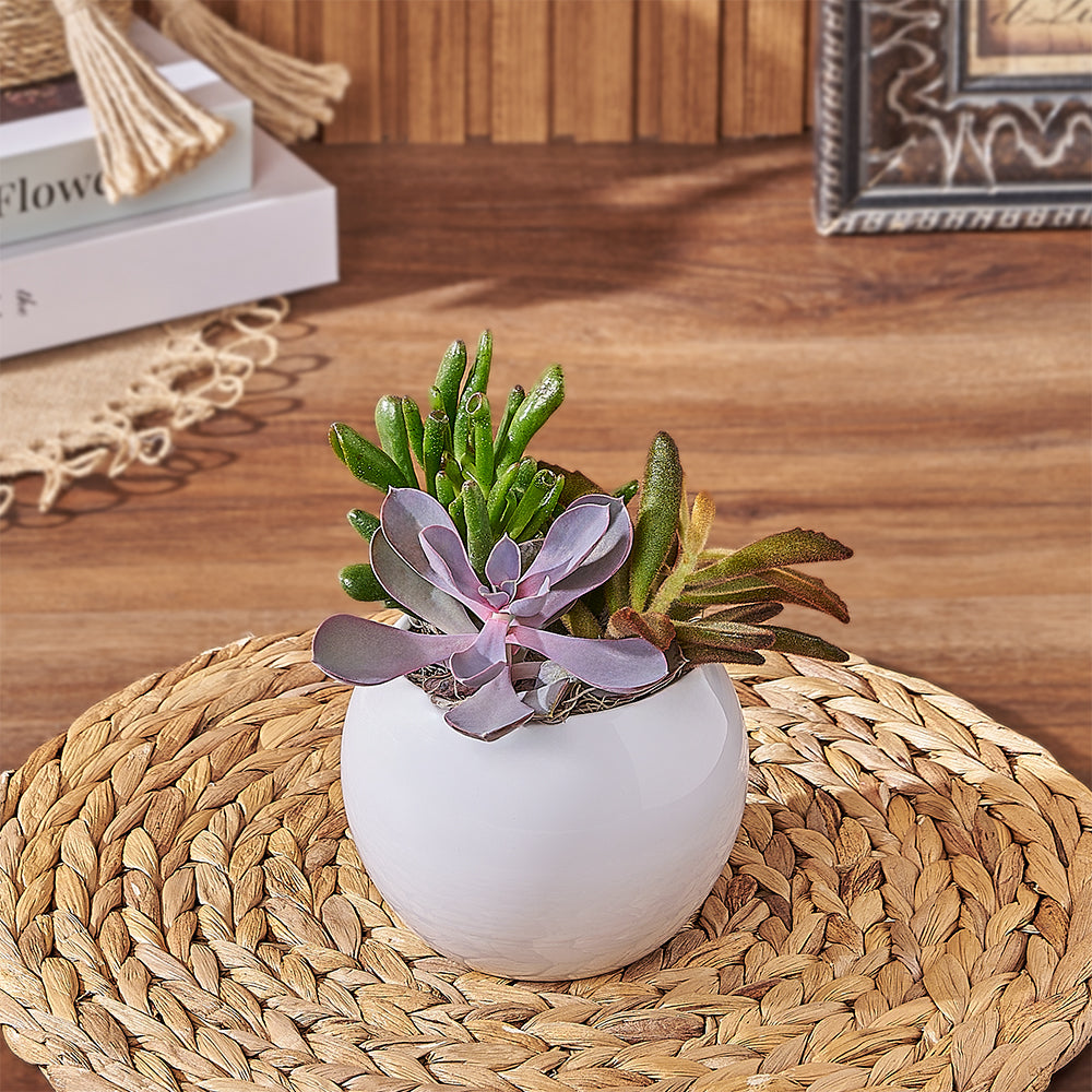 4-Inch Round Planter with Varied Succulent Plants – how the gift is presented