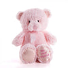 Pink Best Friend Baby Plush Bear from New Hampshire Baskets - New Hampshire Delivery