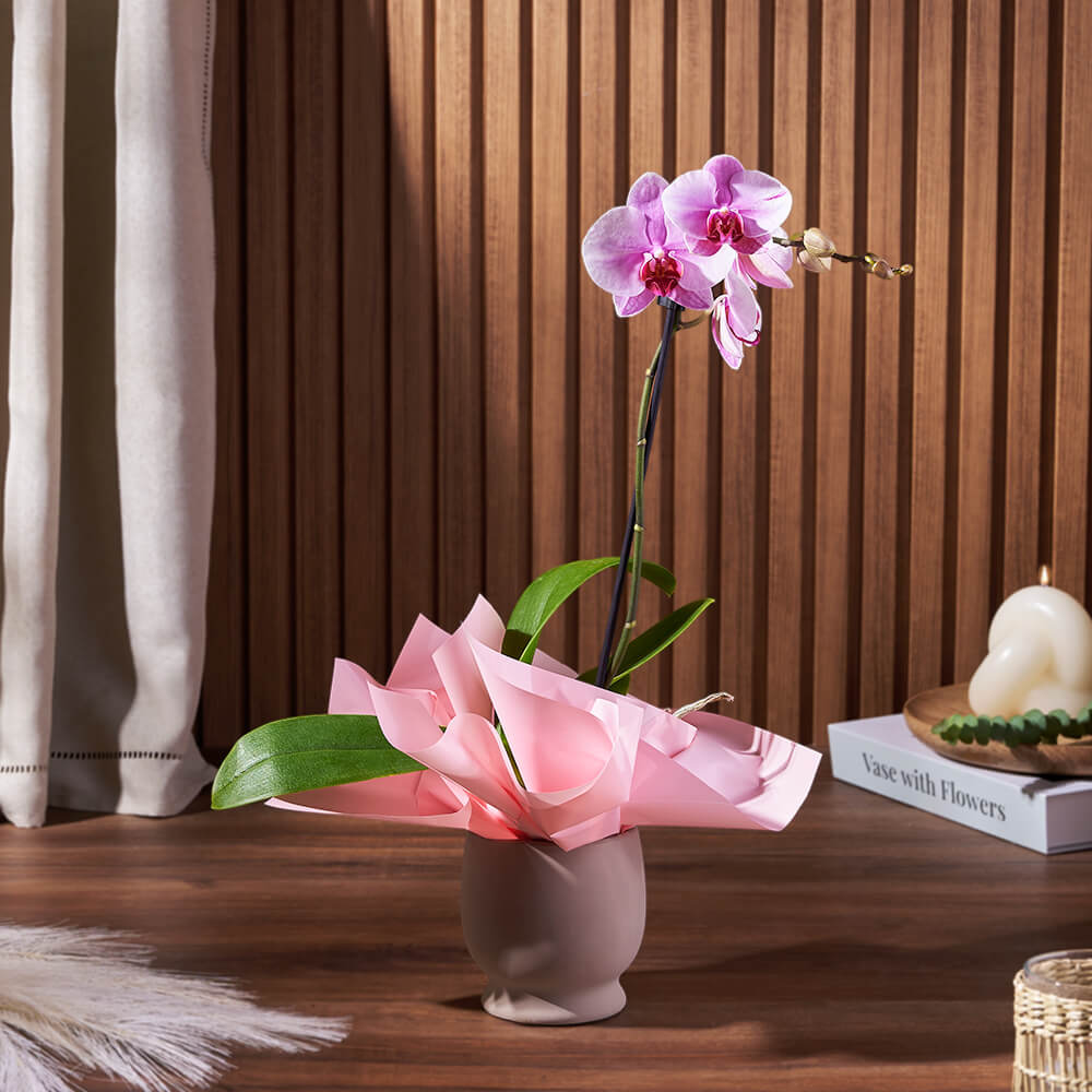 Premium Phalaenopsis Orchid Potted Plant in Ceramic Container – how the gift is presented