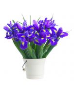 Irises in Paradise Iris Bouquet