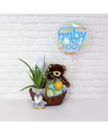 Baby Boy Comes Home Gift Set, baby gift baskets, baby gifts, gift baskets